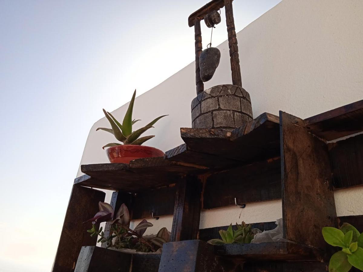Binic Surf House Bed & Breakfast Taghazout Ngoại thất bức ảnh