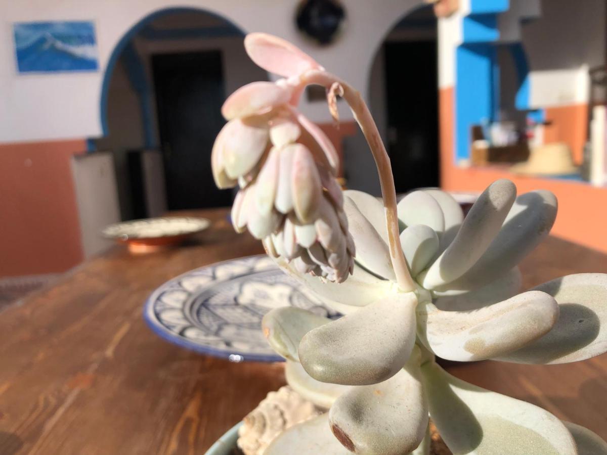 Binic Surf House Bed & Breakfast Taghazout Ngoại thất bức ảnh